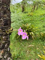 Recinto del Pensamiento-Manizales必去景点