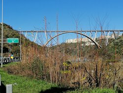 Ponte Bisantis景点图片