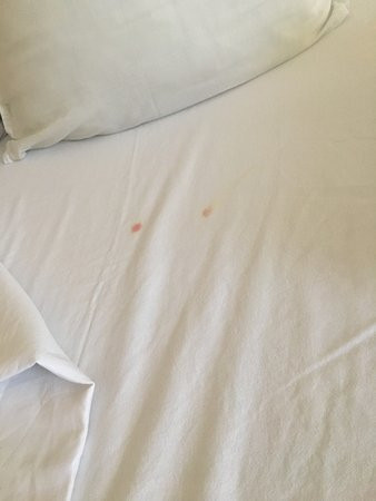 Hotel Al Massira主图