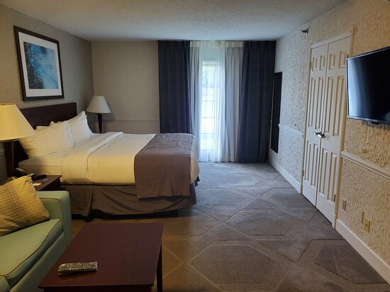 The Blu Hotel, Ascend Hotel Collection-客卧