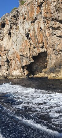 Octopus Mallorca景点图片