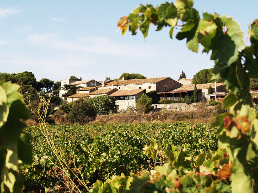 Château le Bouïs景点图片