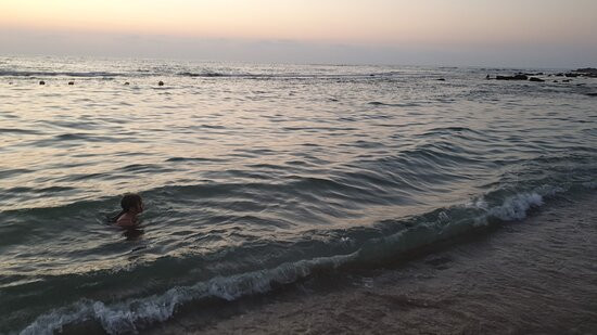 Dolphin Village主图