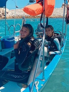 Freediving Cabo Pulmo-Cabo Pulmo必去景点