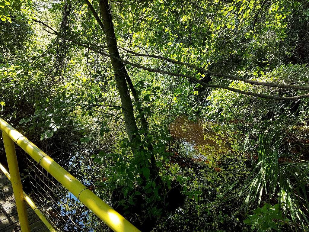 The Arkutino Reserve