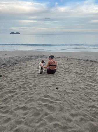 Condovac la Costa-泳池