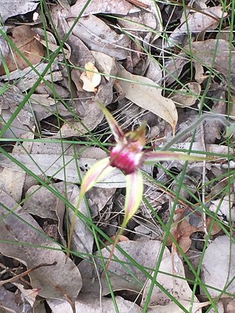 GoGo Active Tours & Events-珀斯必去景点