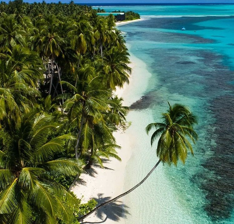 Tiny Island Maldives主图