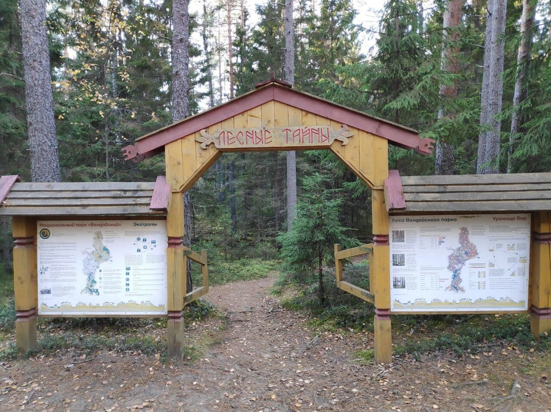 Ecological Trail Forest secrets景点图片