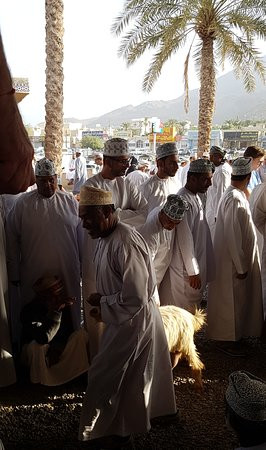 Tanuf Residency Hotel主图