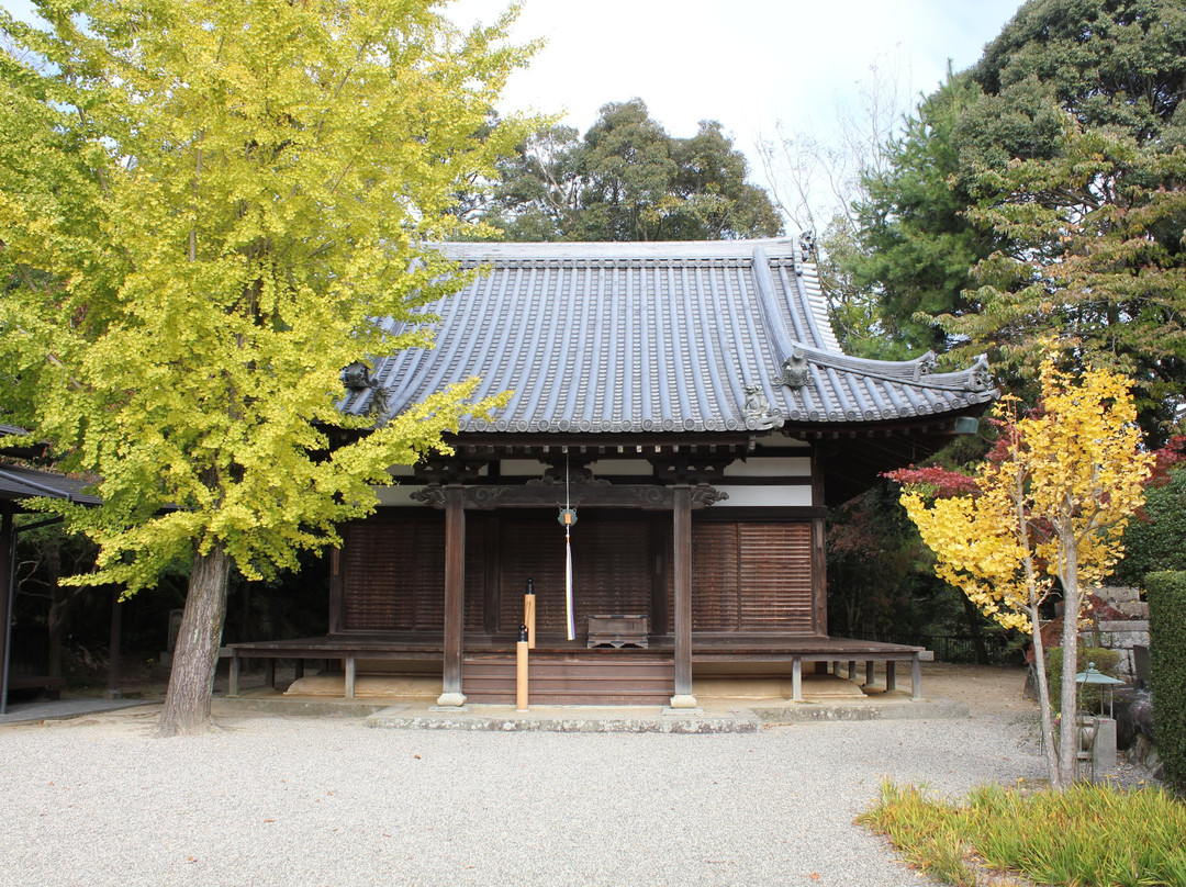 Daijoryu-ji Temple景点图片