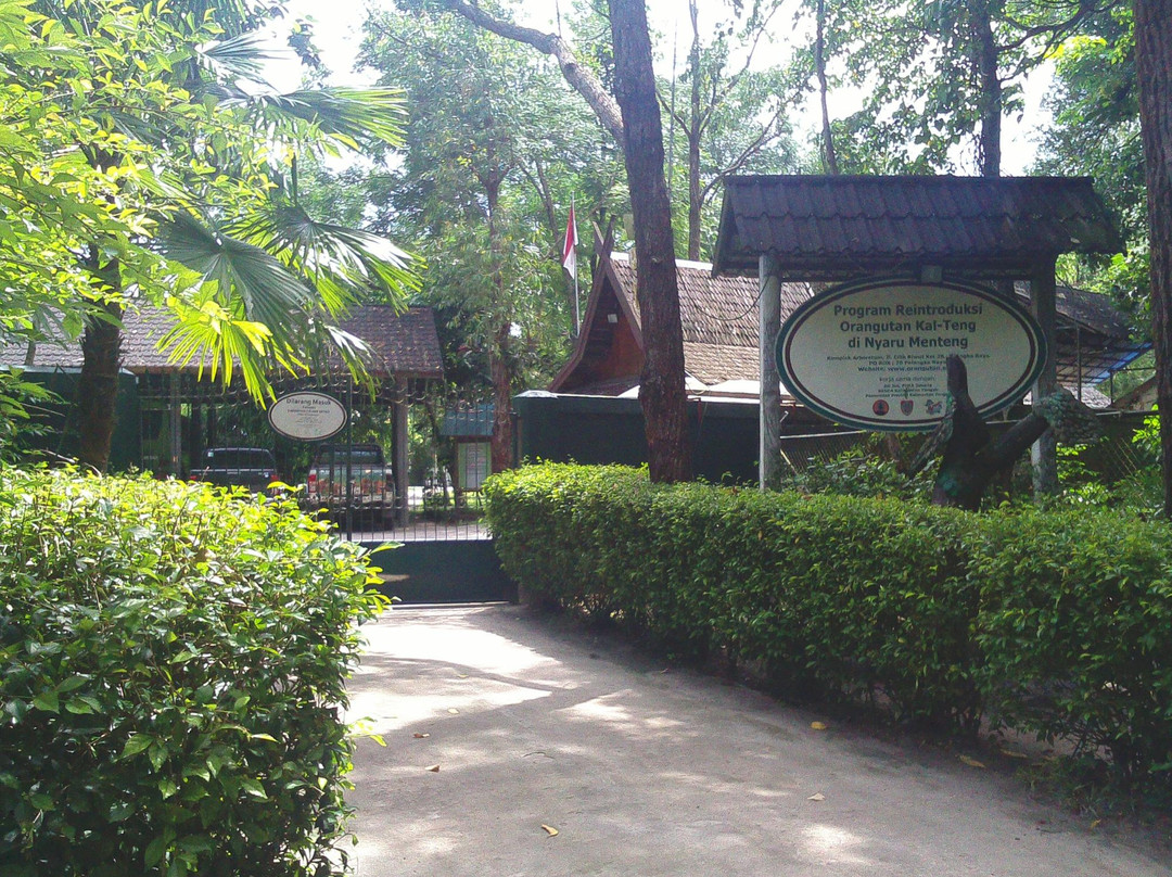 Kawasan Arboretum Nyaru Menteng景点图片