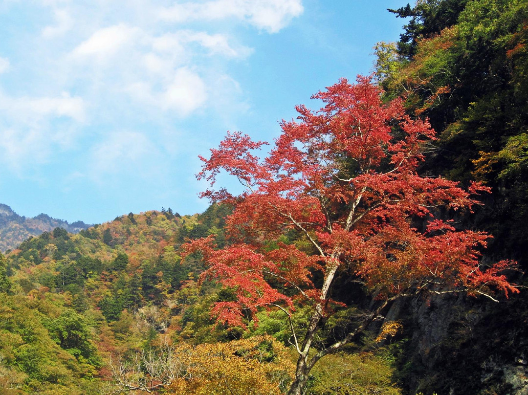 Nakatsu River景点图片