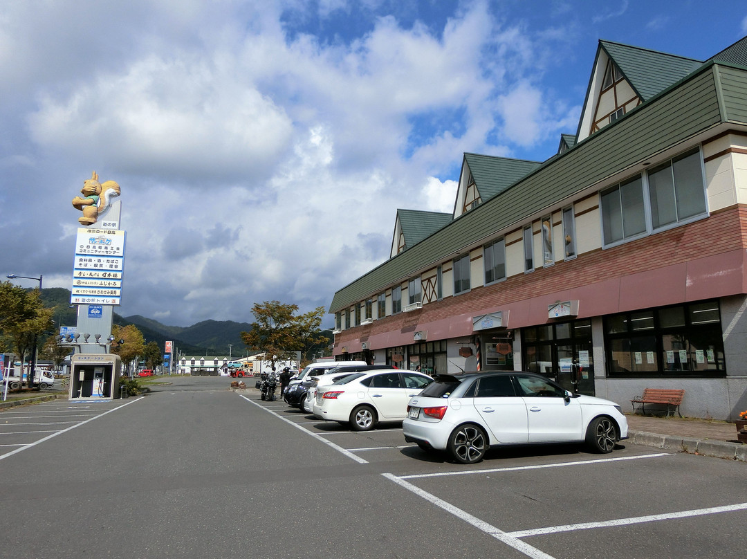 Michi-no-Eki Jukai Road Hidaka景点图片