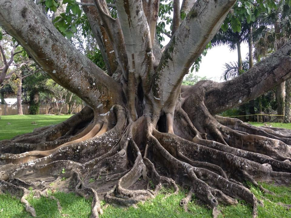 Shangri-La Springs-博尼塔斯普林斯必去景点