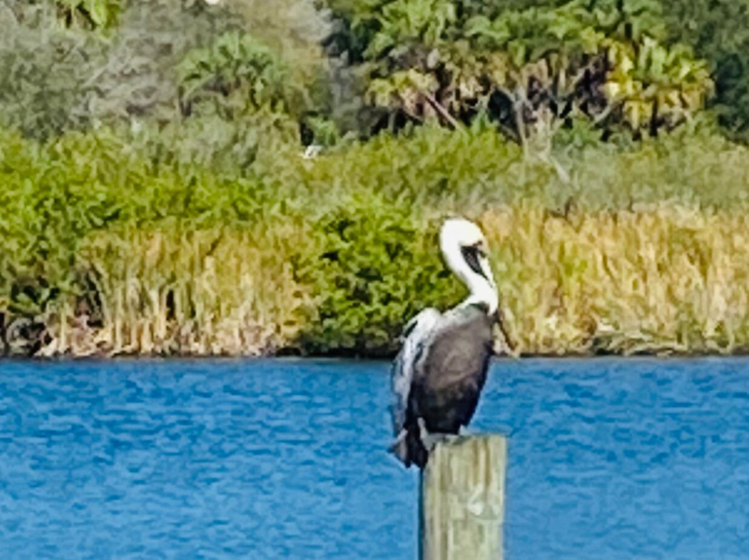 Palm Bay Regional Park景点图片