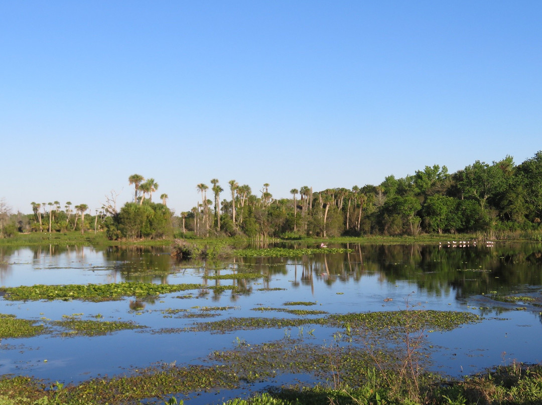 Christmas旅游攻略图片