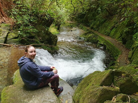 Brook Waimārama Sanctuary景点图片