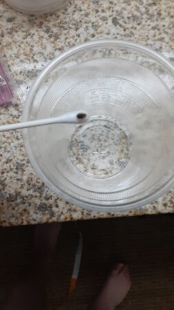 Quality Inn & Suites Dixon near I-88主图