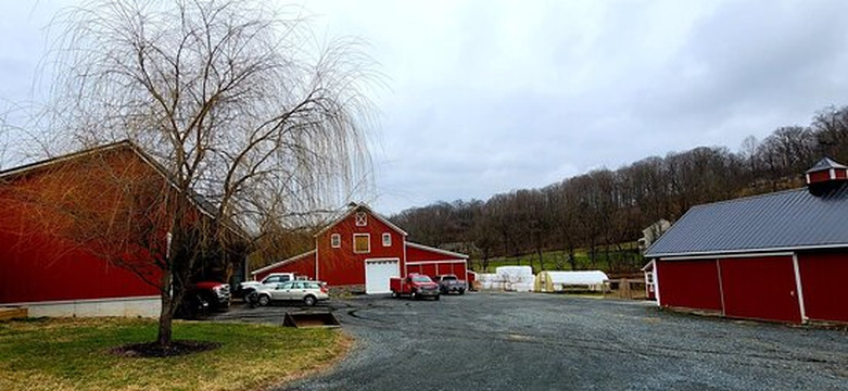 Willow Valley Farm-Glen Arm必去景点