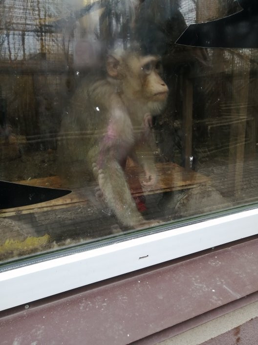 Lutsk Zoo-Lutsk必去景点