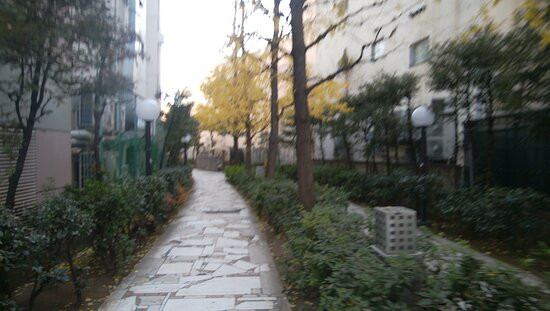 Shikinoji, Shinjuku Promenade Park-Kabukicho必去景点