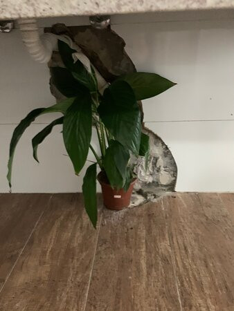 Hotel Terras da Finlandia主图