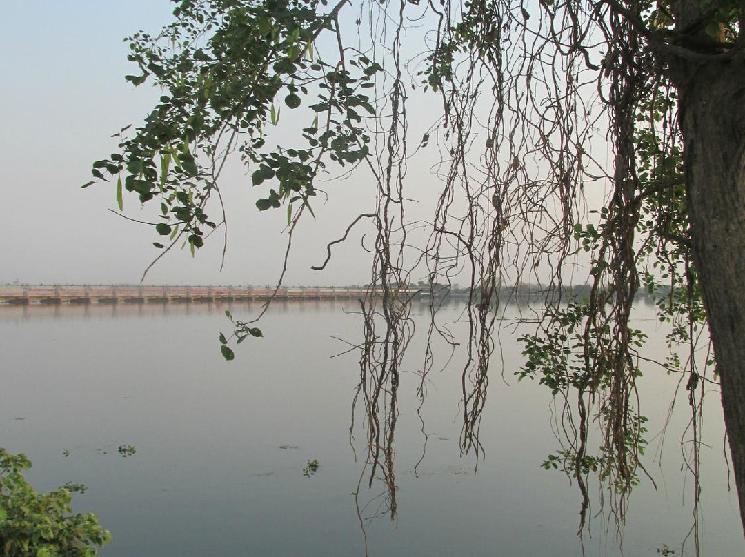Durgapur Barrage景点图片