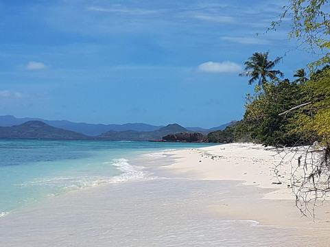 PALAWAN NATURE EXPEDITIONS-爱妮岛必去景点