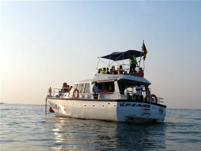 Whale Watching Safari-乌纳瓦图纳必去景点