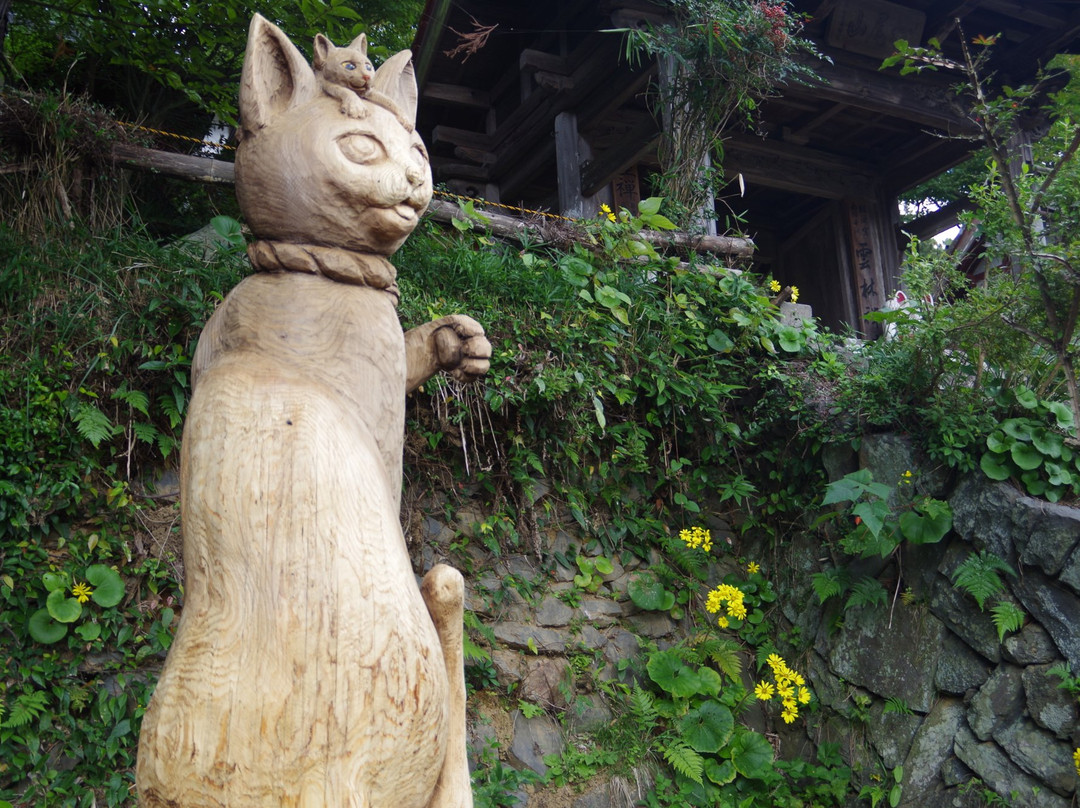 Unrin-ji Cat Temple-萩市必去景点