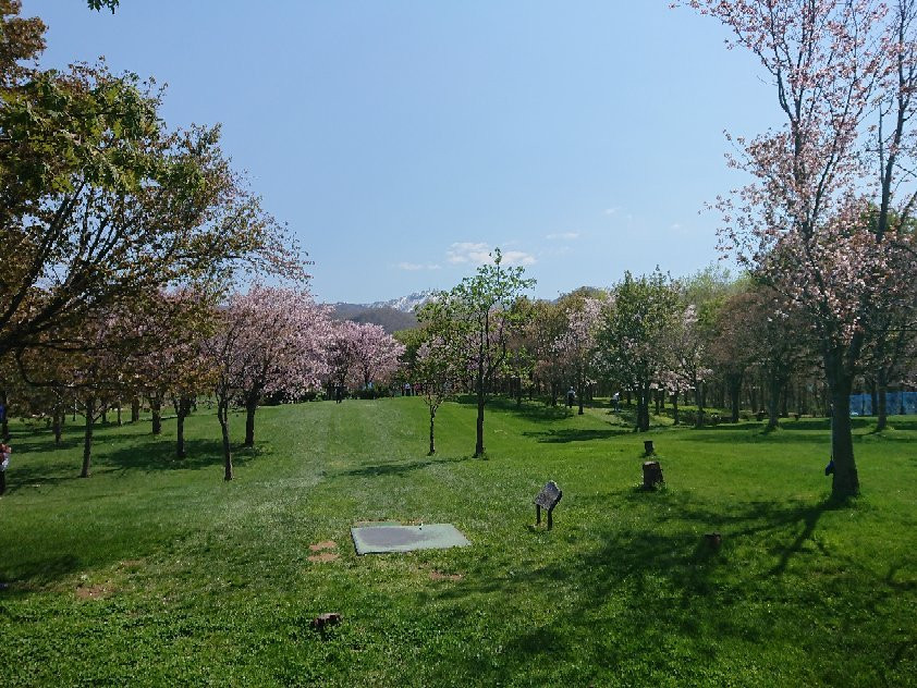 Hoshimi Green景点图片