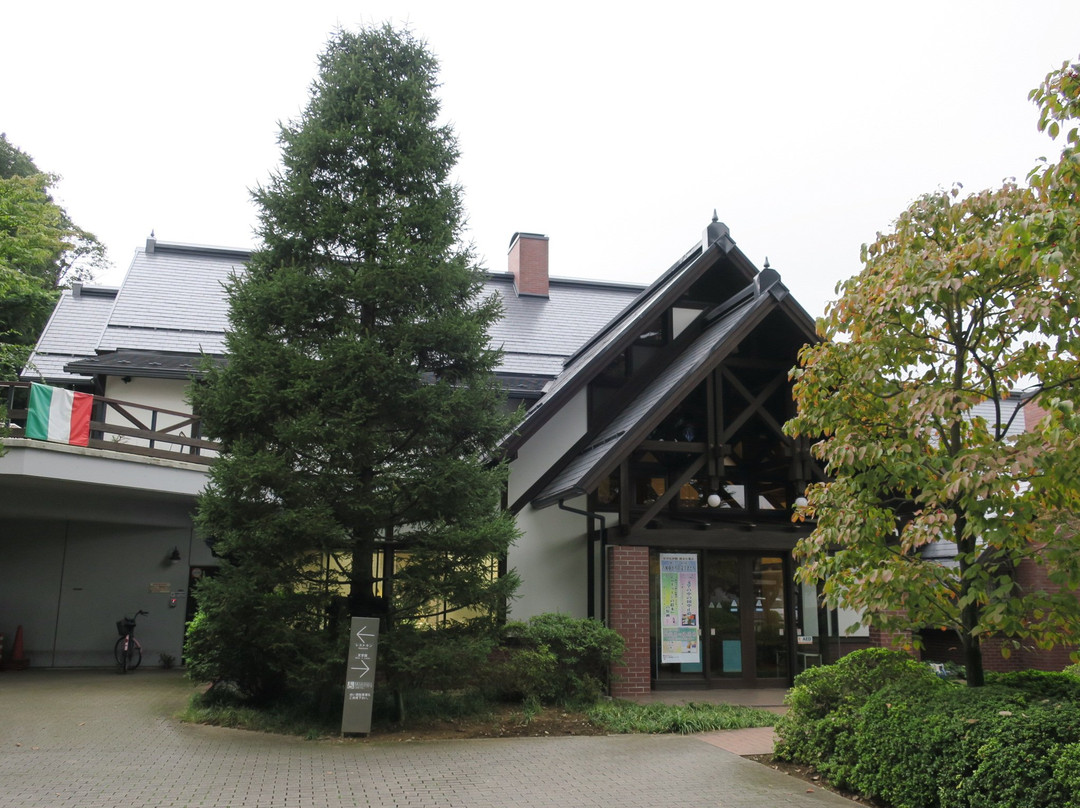 Furukawa Literature Museum景点图片