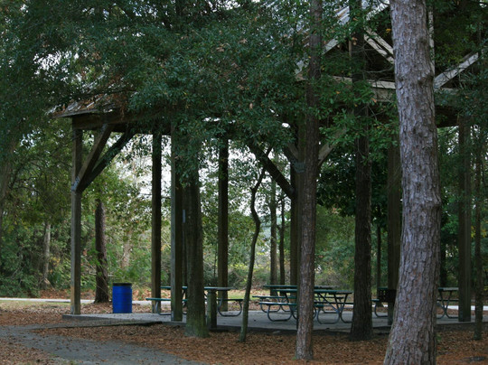 Bellair-Meadowbrook Terrace旅游景点-Tillie K. Fowler Regional Park