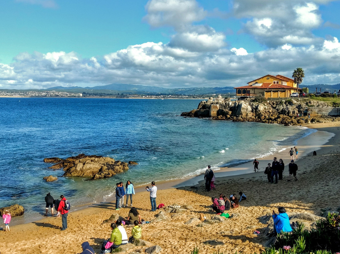 蒙特雷旅游攻略图片