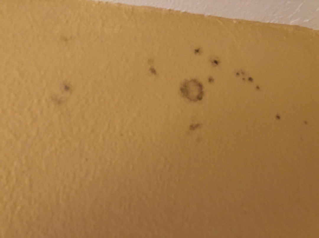 Fillmore旅游攻略图片