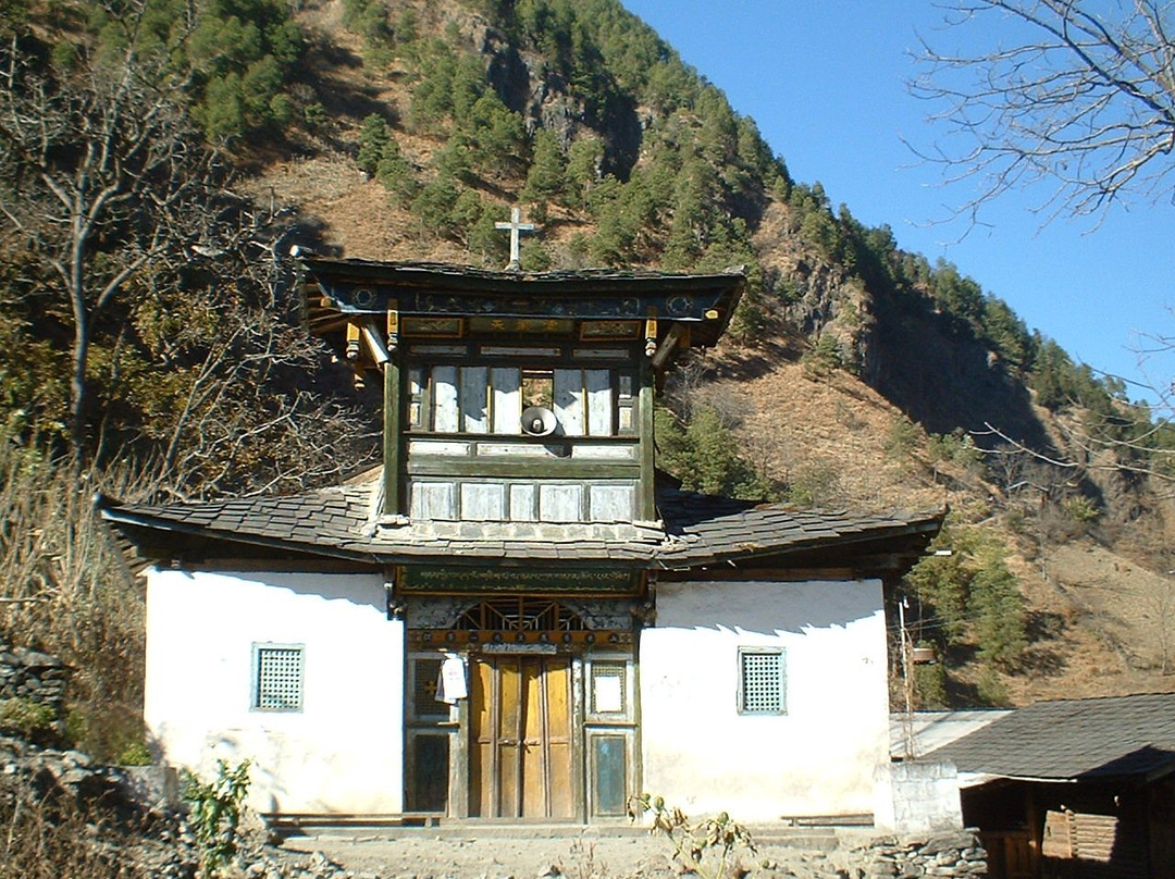 迪麻洛
