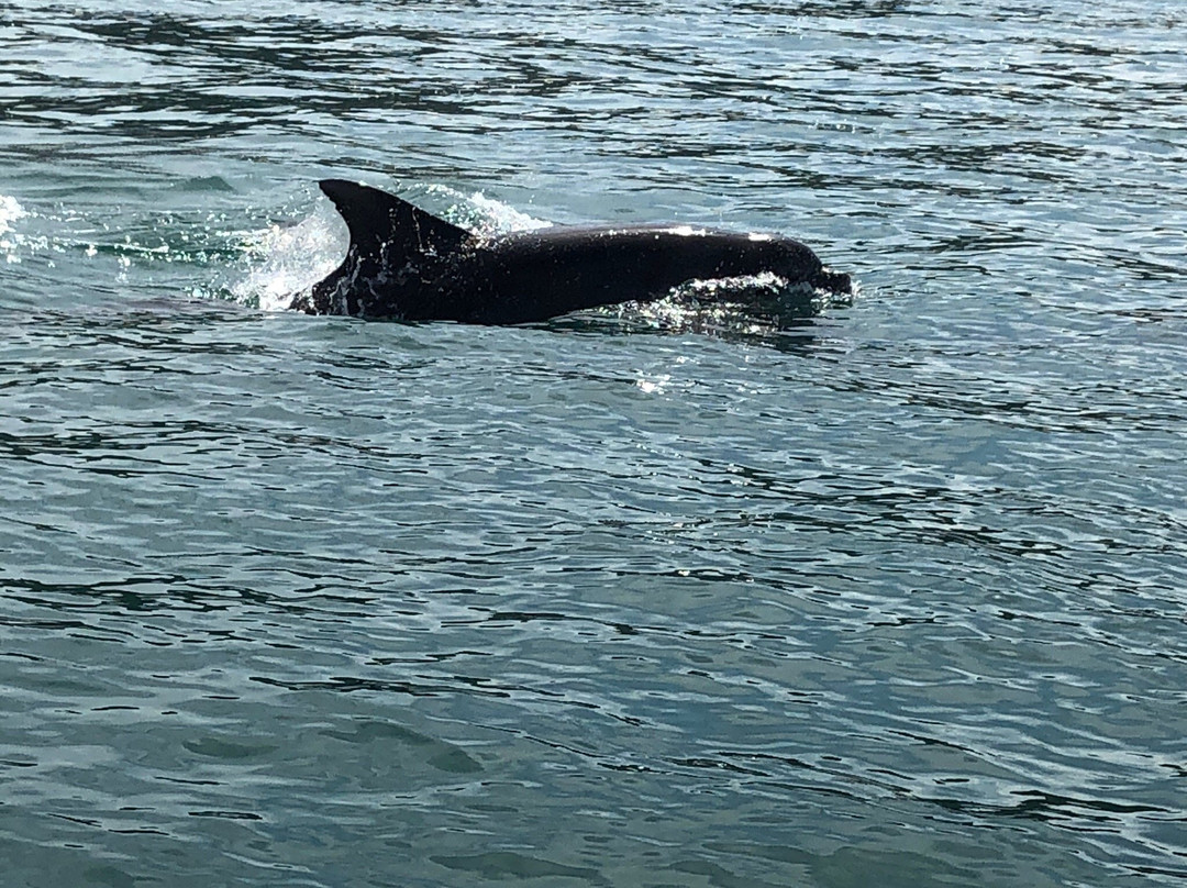 Nauti Buoy Ribs-St. Helier必去景点