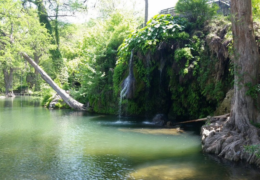 Spicewood旅游景点-Krause Springs