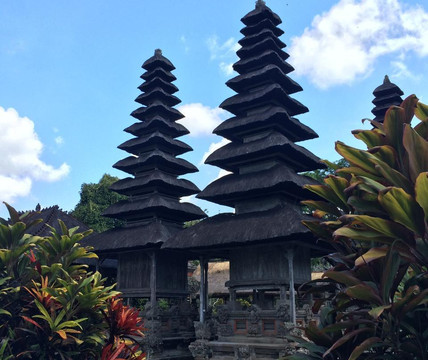 Bali Tour Guide - Day Tours
