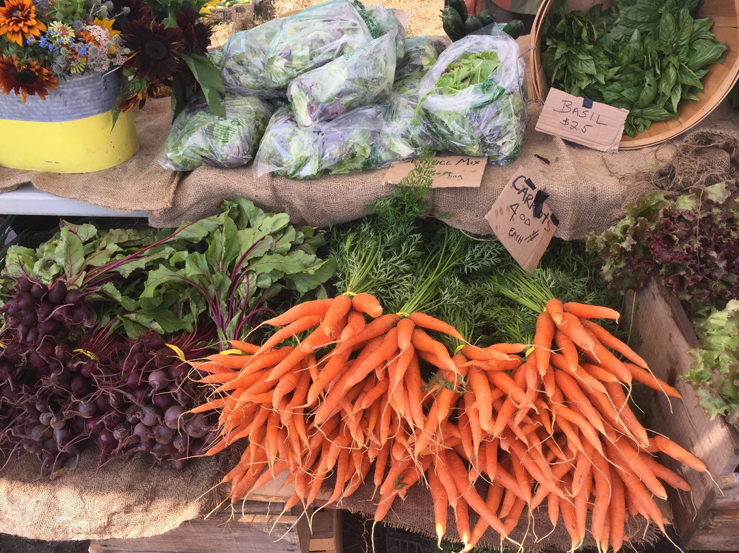 Stonington Village Farmers' Market景点图片