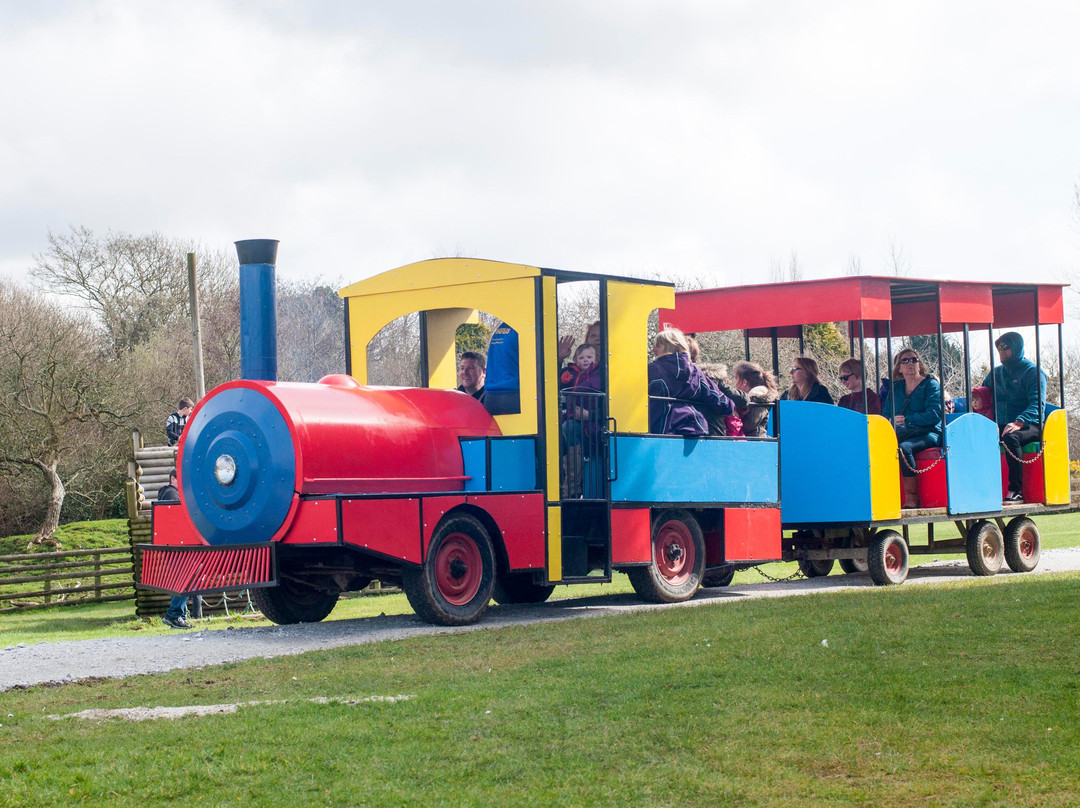 Penhale旅游景点-Springfields Fun Park