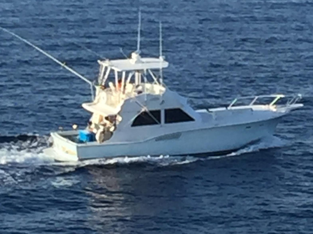Loco-N-Motion Charters, LLC景点图片