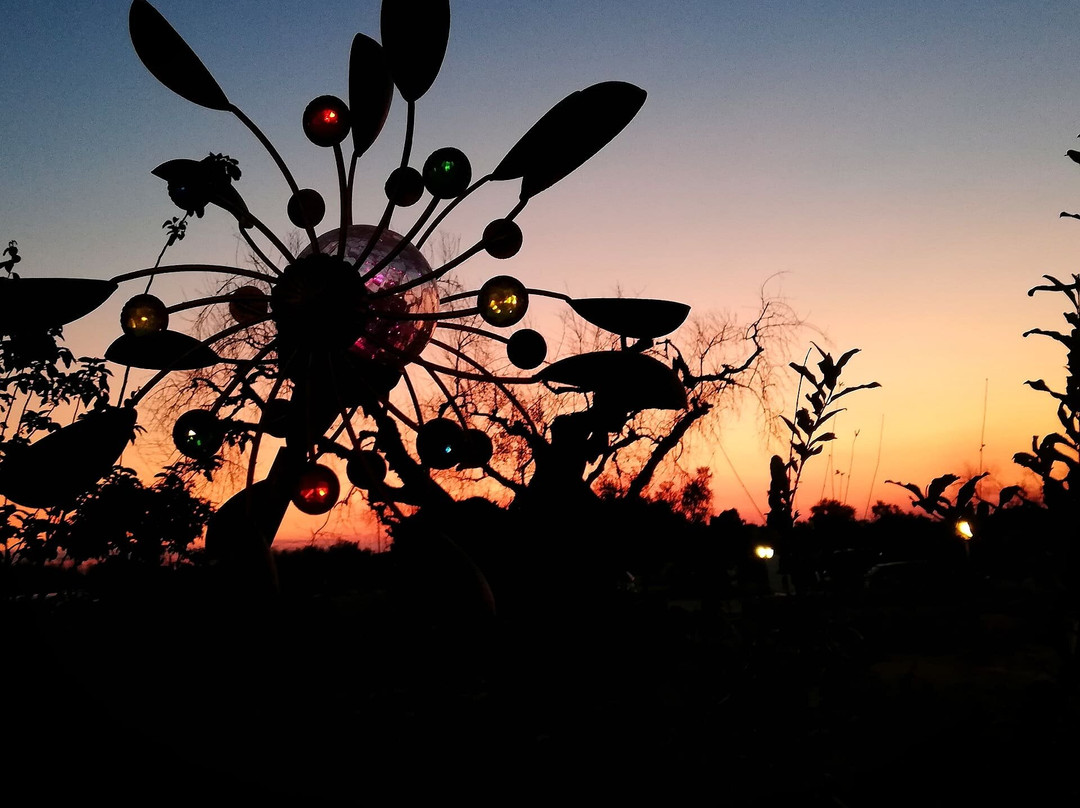 Salve餐馆和美食-Sante Le Muse