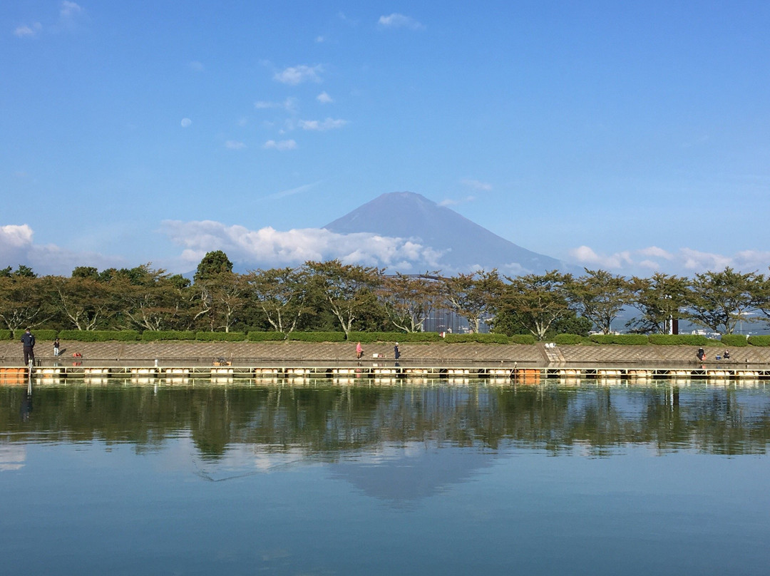 Lake Higashiyama Fishing Area景点图片