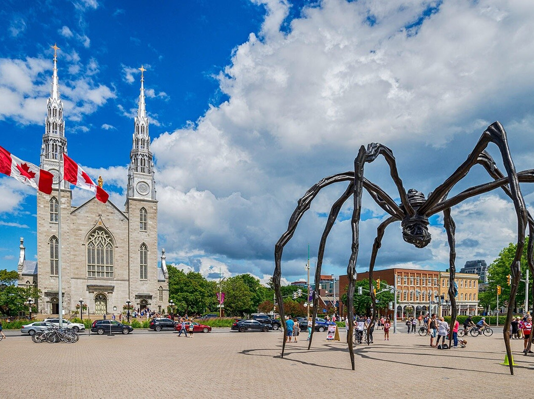 Adventure City Games Ottawa景点图片