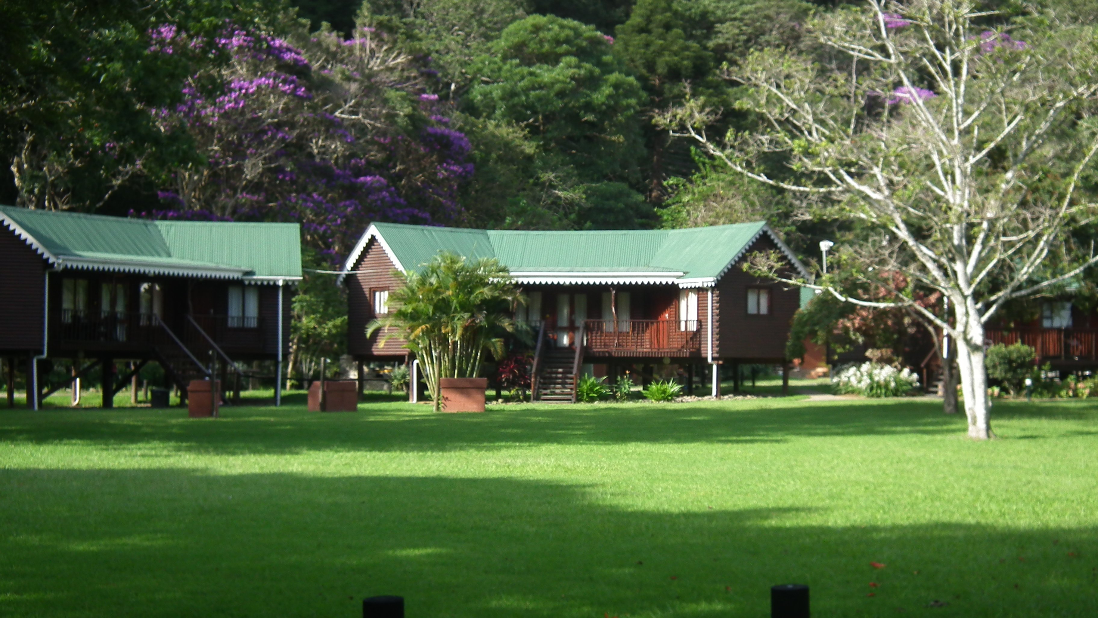 Cremorne Riverside Holiday Resort-浴室