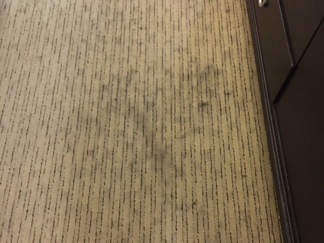 Comfort Inn Bloomington主图