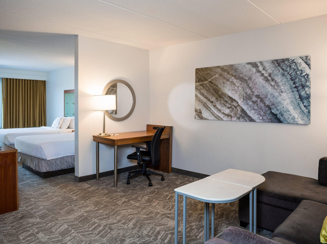 汉普顿酒店住宿-SpringHill Suites by Marriott Hampton