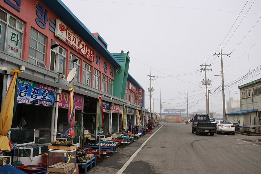 Hongwon Port-舒川郡必去景点